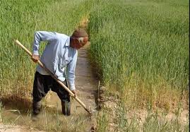 آب کشت تابستانه خوزستان تامین است